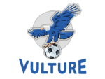 فولتشر vulture