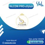 اشتراك Falcon Pro